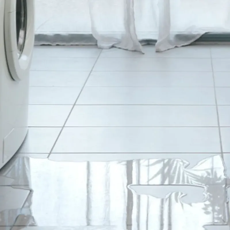 Appliance Leak Cleanup in Breinigsville, PA