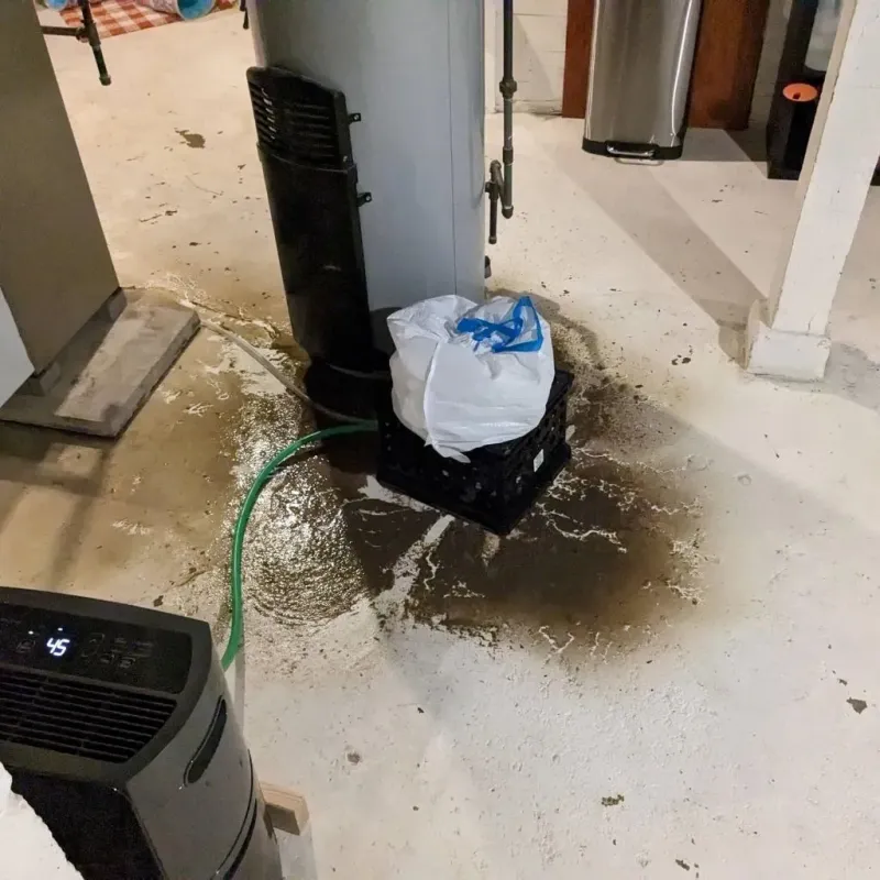 Sewage Backup Cleanup Service in Breinigsville, PA